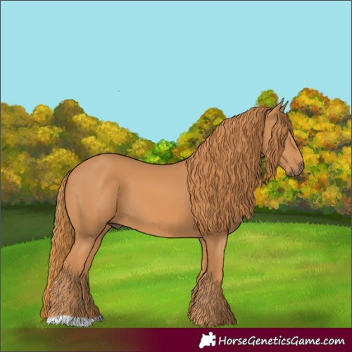 Horse Color:Chestnut 