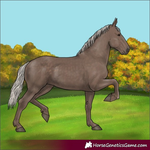 Horse Color:Silver Black 