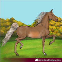 Horse Color:Chocolate Palomino