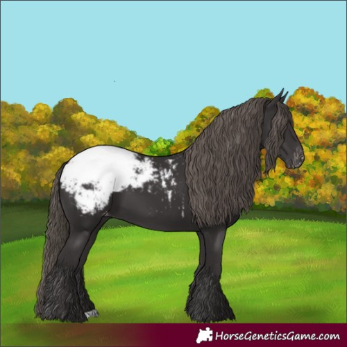 Horse Color:Smoky Black Snowcap 