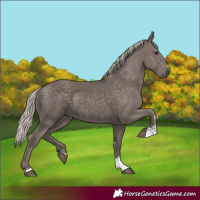 Horse Color:Silver Black 