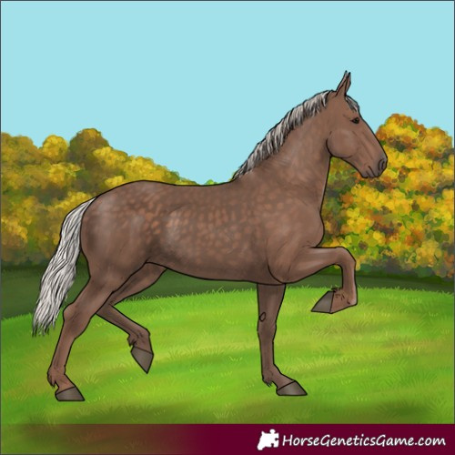 Horse Color:Silver Black 