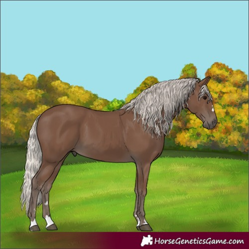 Horse Color:Silver Black 