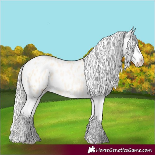 Horse Color:Silver Buckskin Pearl Appaloosa 