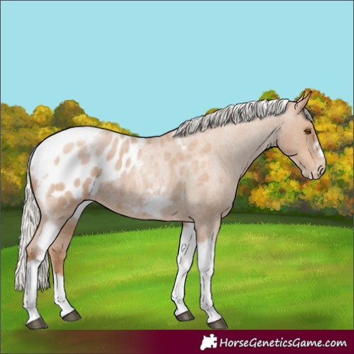 Horse Color:Silver Blue Roan Pearl Tobiano Frame Blanket 
