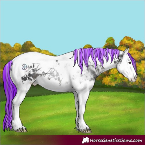 Horse Color:Painted Black Ice Splash Tobiano 