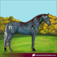 Horse Color:ERROR: UNKNOWN ANOMALY