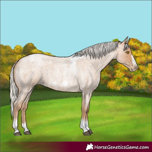 Horse Color:Silver Blue Roan Pearl Tobiano Frame 