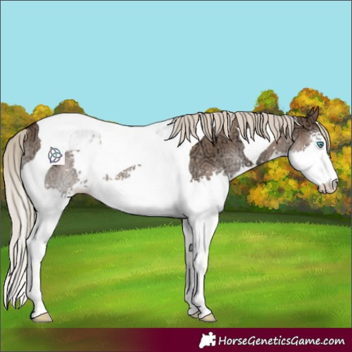 Horse Color:Liver Red Dun Ice Sabino Splash Tobiano Rabicano 