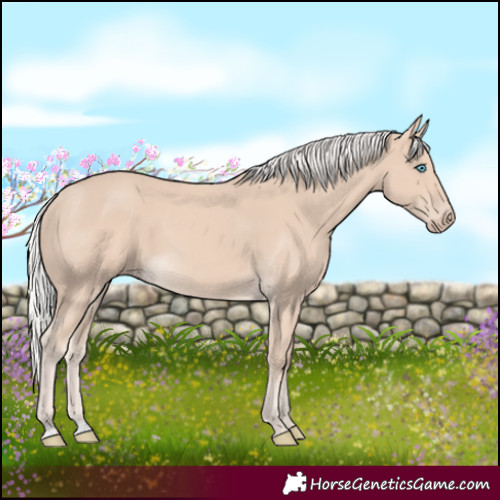 Horse Color:Silver Smoky Creme 