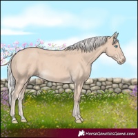 Horse Color:Silver Smoky Creme 