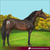 Horse Color:Brown 