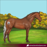 Horse Color:Silver Bay