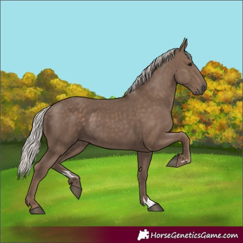 Horse Color:Silver Black