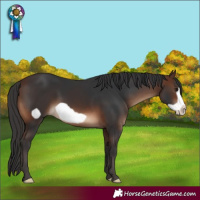 Horse Color:Brown Frame 