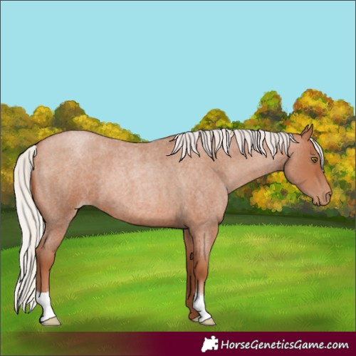 Horse Color:Silver Brown Roan Pearl 
