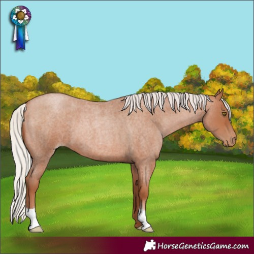 Horse Color:Silver Brown Roan Pearl 