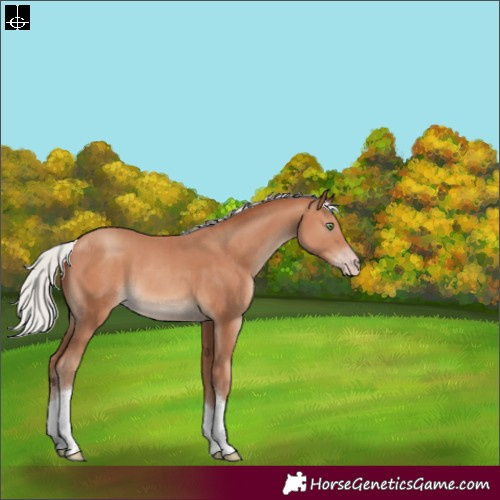 Horse Color:Silver Sable Champagne Tobiano Rabicano 
