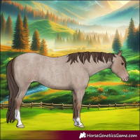 Horse Color:Classic Champagne Roan Tobiano 