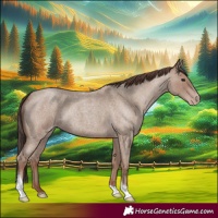 Horse Color:Classic Champagne Roan Tobiano 