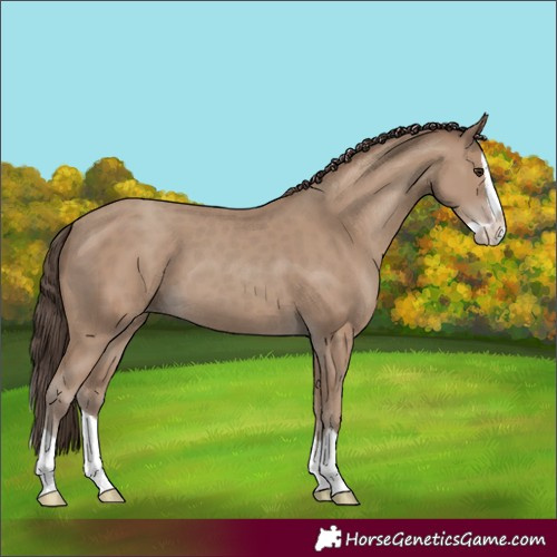 Horse Color:Classic Champagne Splash 