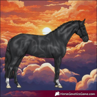 Horse Color:Black 