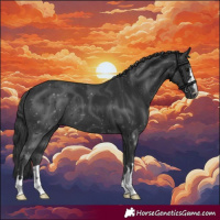 Horse Color:Black 