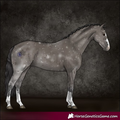 Horse Color:Smoky Grullo 