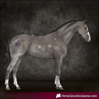 Horse Color:Smoky Grullo 