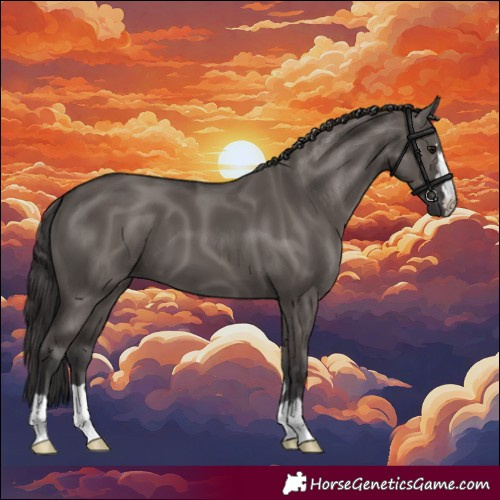Horse Color:Smoky Grullo