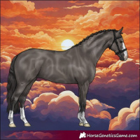 Horse Color:Smoky Grullo 