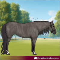 Horse Color:Smoky Grullo 