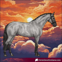 Horse Color:Smoky Grullo Roan 