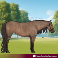 Horse Color:Liver Red Dun Rabicano 