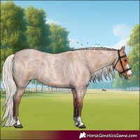 Horse Color:Silver Bay Roan 