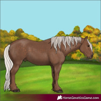 Horse Color:Silver Black