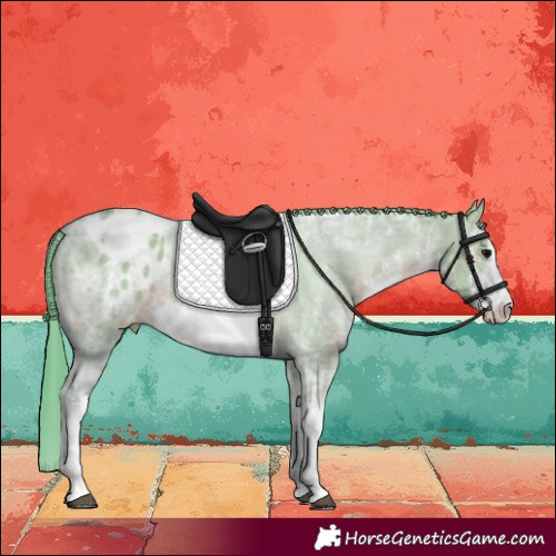 Horse Color:Watercolor White Spotted Grullo Ice Blanket 