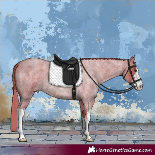 Horse Color:Watercolor White Spotted Red Roan 