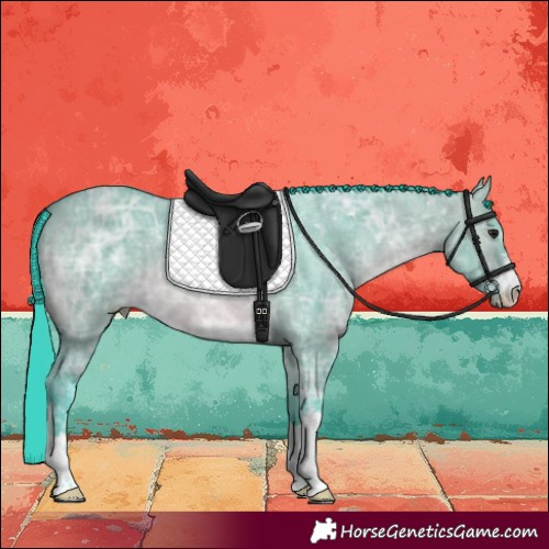 Horse Color:Watercolor Brown Ice Dun 