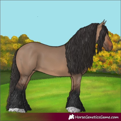 Horse Color:Brown Dun 