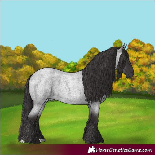 Horse Color:Smoky Blue Roan 