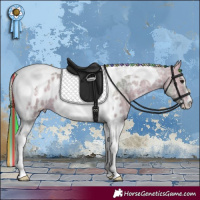 Horse Color:Painted Watercolor Bay Ice Tobiano Appaloosa