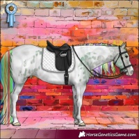Horse Color:Painted Watercolor Bay Ice Tobiano Appaloosa