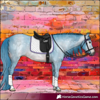 Horse Color:Gray Watercolor Brown 