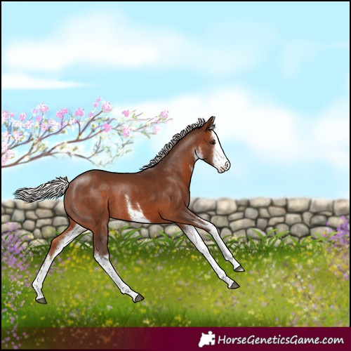 Horse Color:White Spotted Silver Brown 