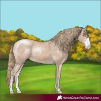 Horse Color:Smoky Creme Sabino