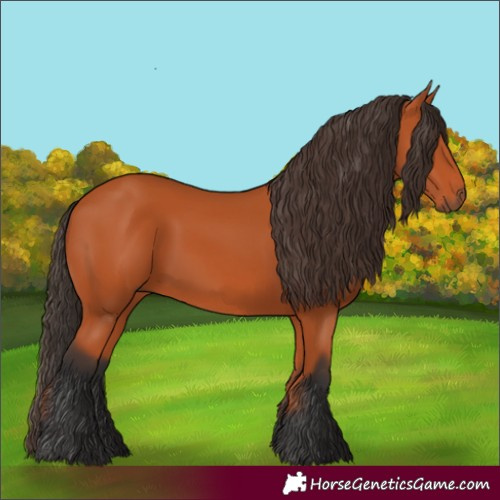 Horse Color:Bay Rabicano 
