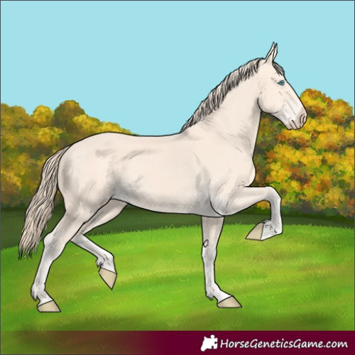 Horse Color:Perlino