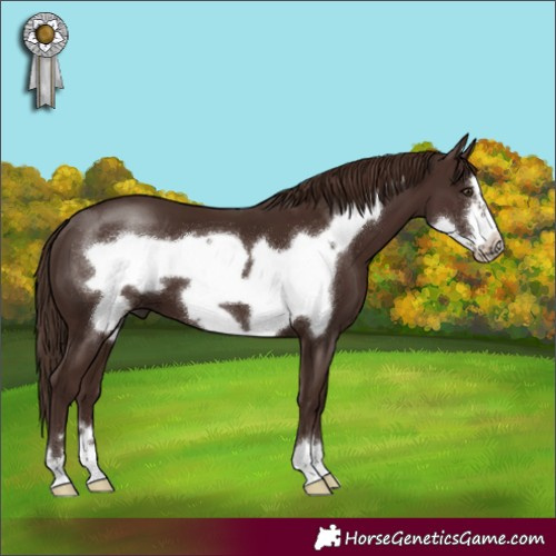 Horse Color:Liver Chestnut Frame 