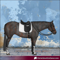 Horse Color:Bay Rabicano  and Black Rabicano 